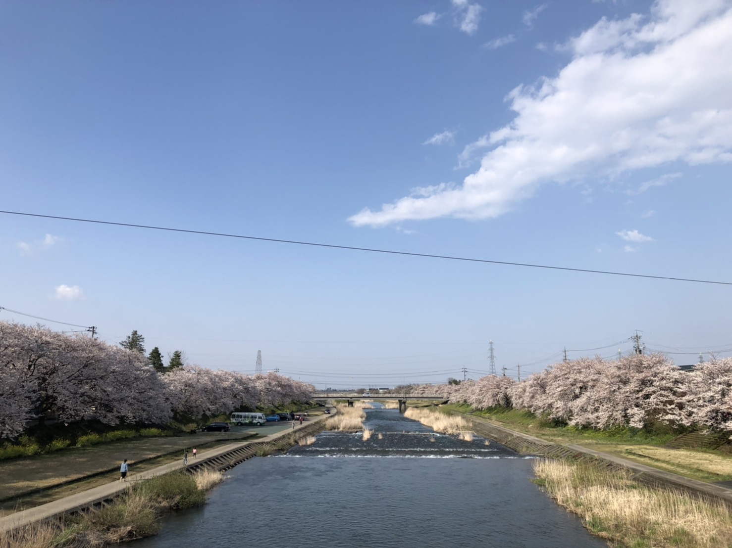 富山県南砺市福光「桜の見所」はここ！ ｜ ビヨンドツアー｜福光タクシー｜富山県・南砺市・福光の観光とビジネス